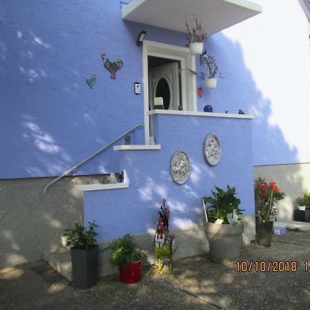 Gite Du Coq Lingolsheim Dış mekan fotoğraf