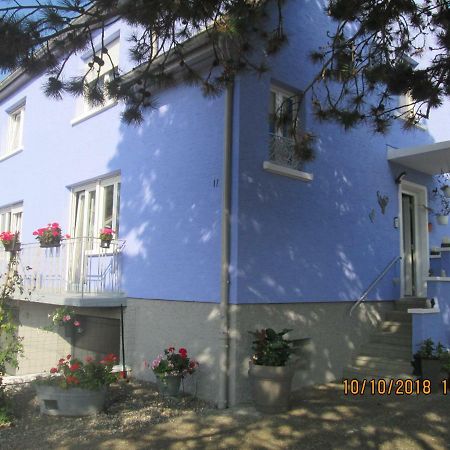 Gite Du Coq Lingolsheim Dış mekan fotoğraf