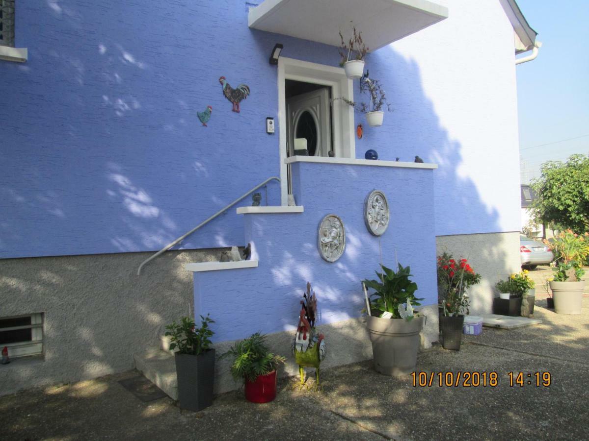 Gite Du Coq Lingolsheim Dış mekan fotoğraf